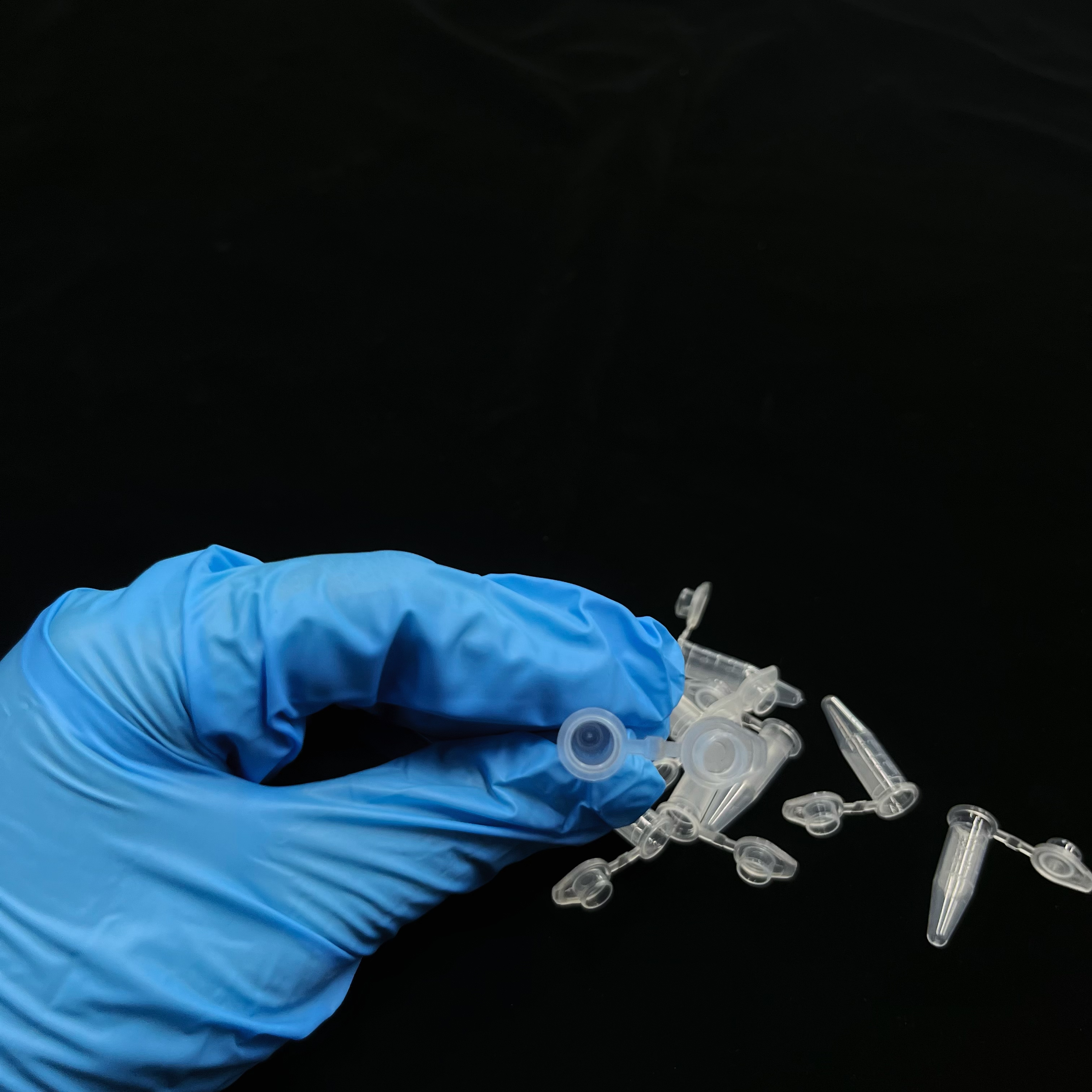 Tubo de centrífuga B08 de 0,5 ml