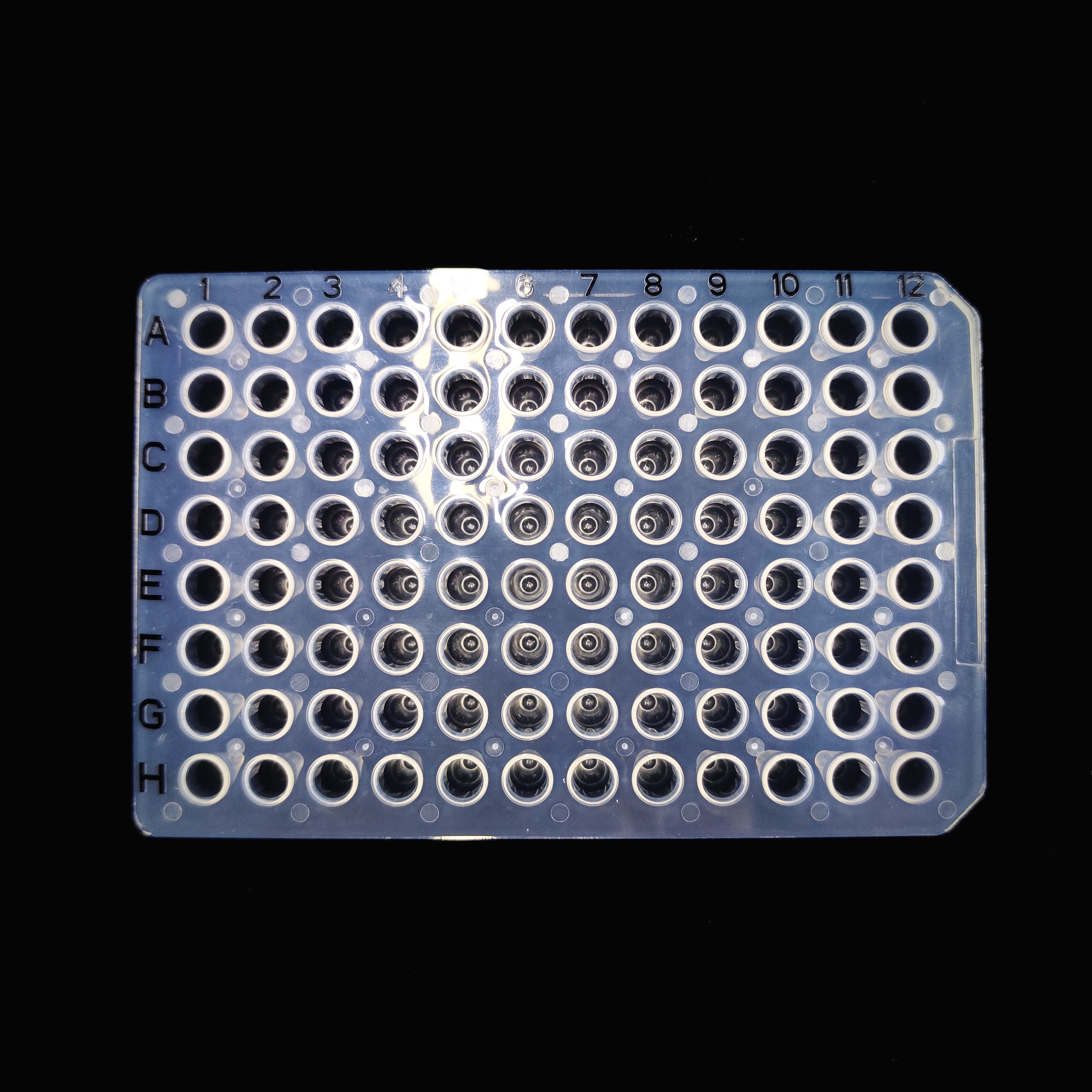 Placa de 96 pocillos PCR de 0,1 ml con marca negra (a granel)