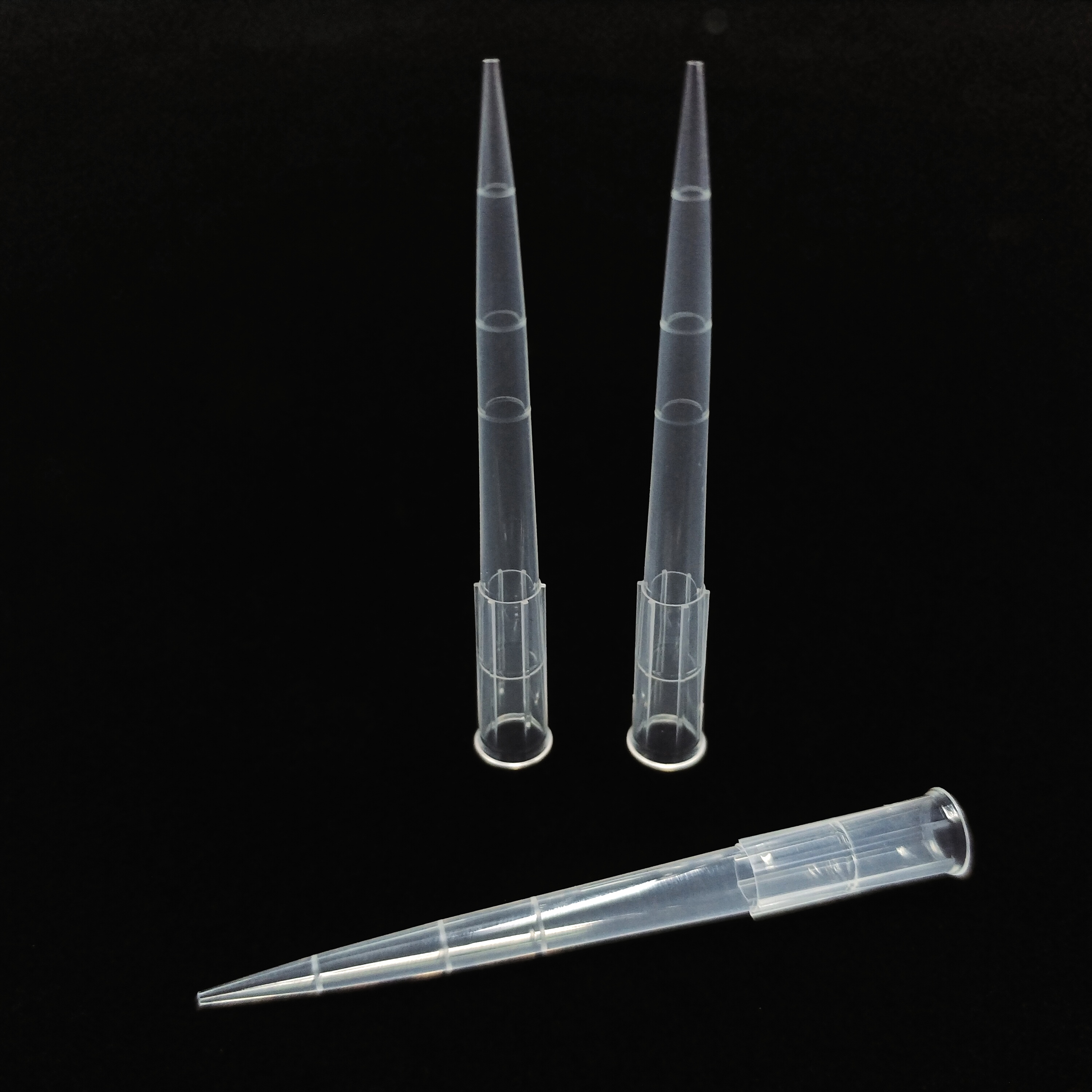 1250 μL/1000 μL/300 μL/200 μL/10 μL/10 μL Punta de pipeta de longitud extendida (a granel)