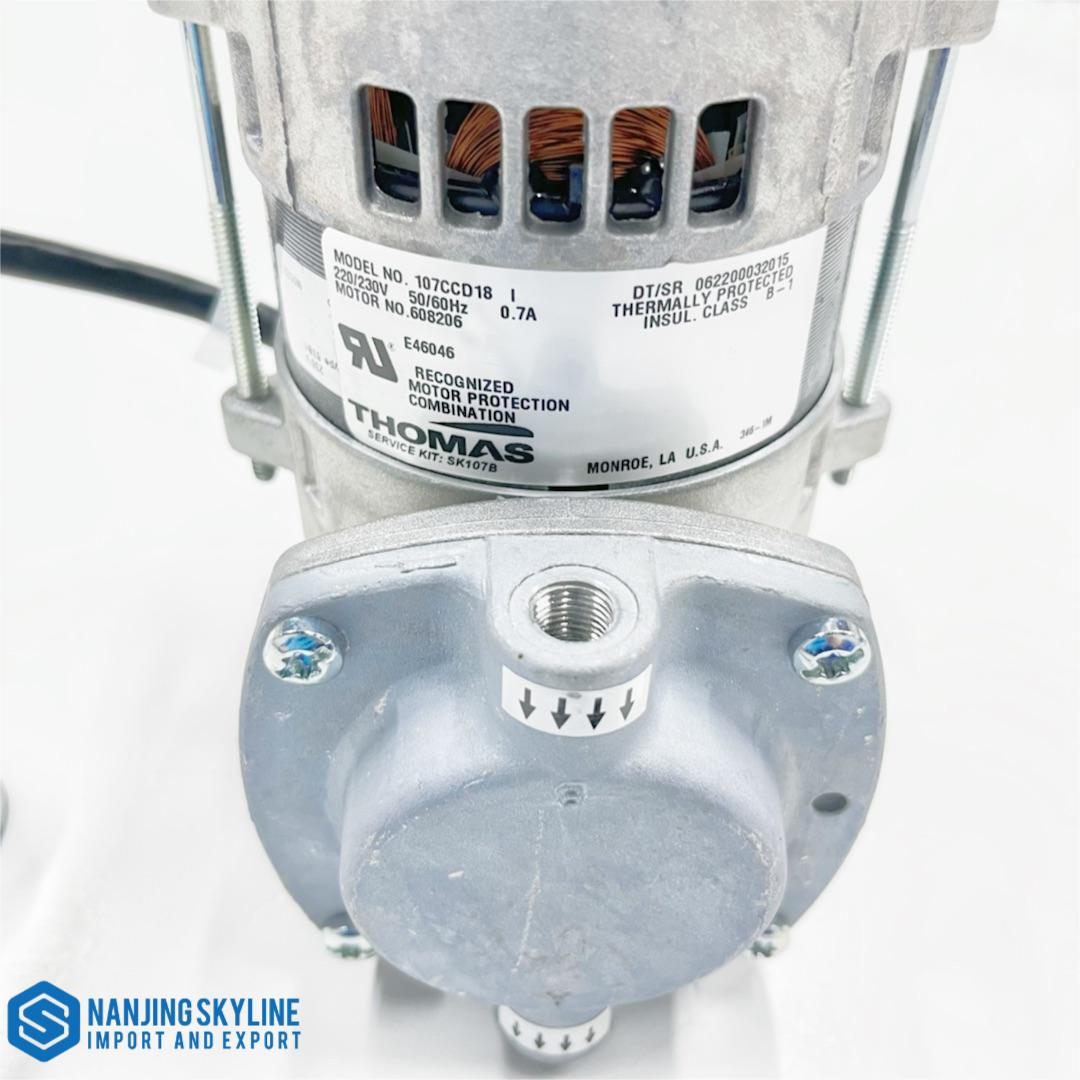  Analizador de bioquímica Dirui CS1200/CS1300B bomba de vacío