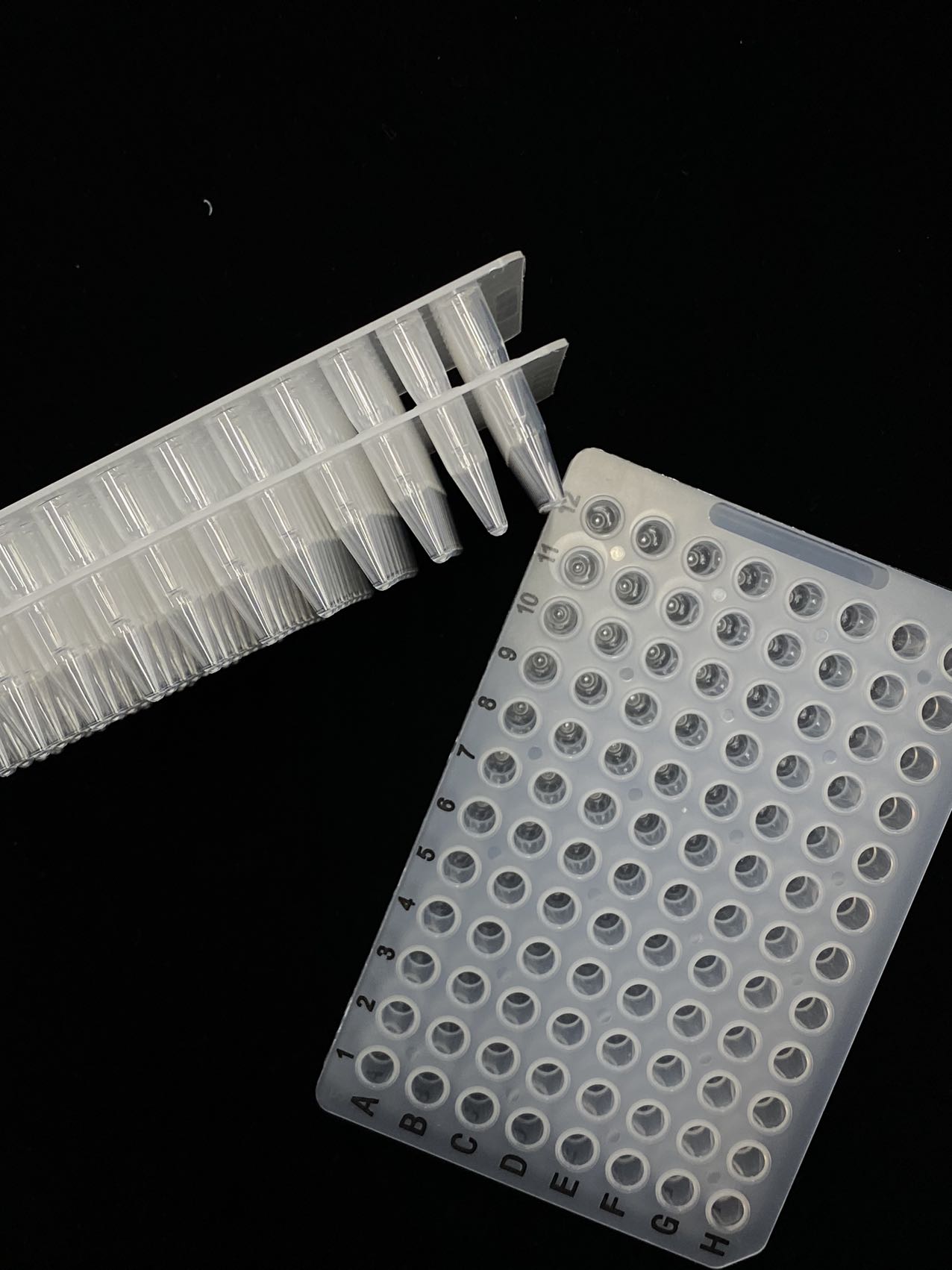 PCR Placa transparente de 96 pocillos con marca negra 802029/802019/802017/802016