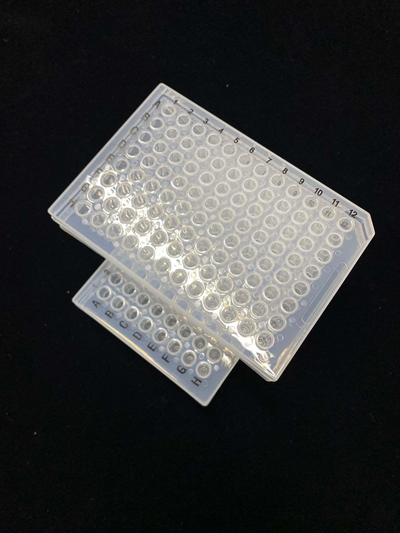 PCR Placa transparente de 96 pocillos con marca negra 802029/802019/802017/802016